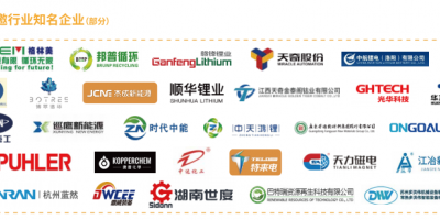 2025國際退役動力電池、風(fēng)光組件資源化循環(huán)利用技術(shù)