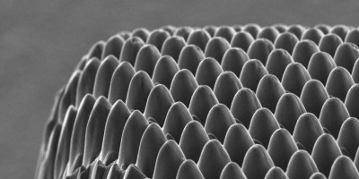 2025中國上海國際激光加工及焊接切割展覽會